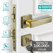 Plantex Premium Door Lock with 3 Years of Warranty/Main Door Lock for Home/Mortise Lock for Door - Main Door Lock Set(7116 - PVD Gold & Brass Antique)