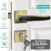 Plantex Main Door Lock/Mortise Lock for Doors - Robust Door Handle for Home with Brass Locks Body & Cylinder (PT-014, Brass Antique & Black)
