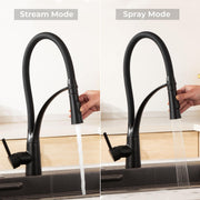 Plantex Single Lever Sink Mixer with Dual Flow Pull-Out SprayerHot and Cold-Water Mixer Rotatable Flexible Sink Tap for Kitchen -Deck Mounted-(8984-Black) Brass, Powder Coated
