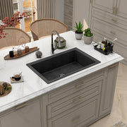 Plantex Quartz Acrylic Kitchen Sink/Undermount Sink for Kitchen with 10 Years Warranty by Plantex/Metalic Single Bowl Kitchen Sinks with Coupling (Siapan 32x20 Inches)