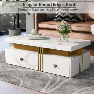 Plantex Lion Face Drawer Knobs | Cabinet Drawers | Pulls Handles Knobs for Wardrobe Kitchen &Cupboard -Pack of 3 Pieces (Brass-Antique)