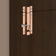 Plantex Stainless Steel 4 inch Tower Bolt/Tower Bolt for Home,Offices Doors and Windows/Tower Bolt for Main Door/Door Latch/Kundi/Chitakini/Door Latch for Windows (Rose Gold, Pack of 6)