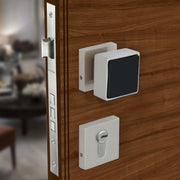 Plantex Heavy Duty Door Lock/Main Door Mortise Lock Handle/Handle Set for Home/Office/Door Accessories - (PT-011, Satin & Black)