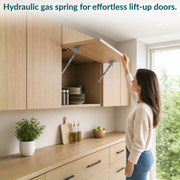 Plantex 10 Inch Soft Close Hydraulic Gas Spring Stay Strut Pneumatic Lift Support/Cabinet Hinges Support/Capacity 10 KGS (100 N) - Pair of 1 (2 Pcs) (Silver)