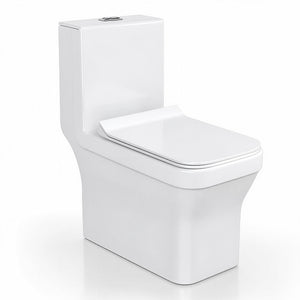 Floor Mounted Commode