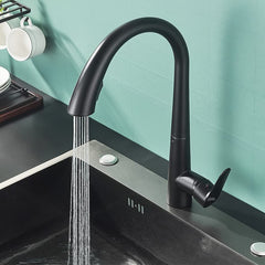 Plantex Designer Brass Single Handle 360 Degree Swivel High Arc Pull Out Kitchen Sink Faucet/Hot & Cold Water Mixer Tap with Pull Down Sprayer Multitask Mode- Black