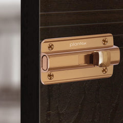 Plantex Premium Heavy Duty Door Stopper/Door Lock Latch for Home and Office Doors - Pack of 2 (Rose Gold)