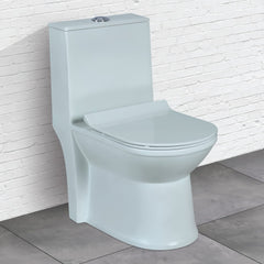 Plantex Platinium Ceramic Rimless One Piece Western Toilet/Water Closet/Commode With Soft Close Toilet Seat - S Trap Outlet (APS-745, Thunder)