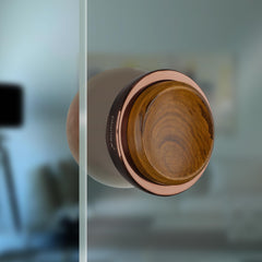 Plantex Stainless Steel 4-inch Round Shape Door Handle for Main Door and Pull-Push Knob Handle for Wooden and Glass Door/Home/Hotel-(PVD Rose Gold & Wood)