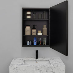 Plantex LED Mirror Cabinet for Bathroom with Defogger and Bluetooth/Bathroom Storage Organizer/Shelf/Bathroom Accessories - 20x28 Inch, Black