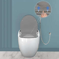 Plantex Platinium Ceramic Rimless One Piece Western Toilet/Water Closet/Commode With Soft Close Toilet Seat - S Trap Outlet (White & Grey)